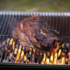 Mustang Patagonia Buitengrill - Afbeelding 16